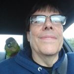 Brian Granstrom - @granstrombrian - Instagram