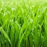 @brian.grass - Instagram