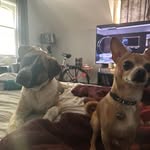 Brian Grassl - @brian.grassl - Instagram