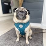 Brian Grayson - @briangrayson66 - Instagram