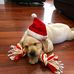 Brian Grech - Facebook