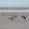 brian greenhaw - @brian.greenhaw - TikTok