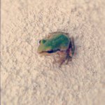 Brian Gregor - @begregor - Instagram