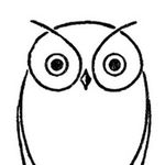 Superb Owl - @brian_gregory_greenaway - Instagram