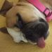 Brian Fernando Grapain - Facebook