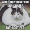 brian_greese - @brian_greese - TikTok