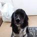 Brian Grogan - Facebook