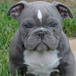 Brian Grogan - @brian.grogan.524 - Instagram
