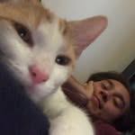 Brian Groth - @briam__ - Instagram