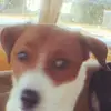 briangruber6391 - @briangruber6391 - TikTok