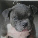 brian grupe - @fbr333 - Instagram