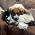 Brian Guidaboni - @brianguidaboni - Instagram