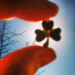 Brian Guidry - @b_k_guidry - Instagram
