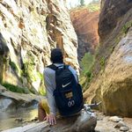 Brian Guilfoyle - @coyoteguil - Instagram