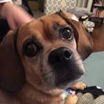 @briangulden - Instagram