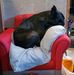 Brian Gulick - Facebook