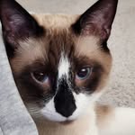 Brian Gumpert - @gumpertbrian - Instagram