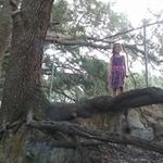 Briana Gunnell - @brianagunnell - Instagram
