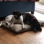 Brian Gunner - @briangunner9 - Instagram