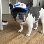 Brian Gustafson - @b_gus - Instagram