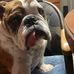 Brian Gustafson - Facebook