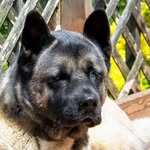 Brian Gustafson - @bgst2p - Instagram