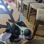 Brian Guthrie - @fatmancometh777 - Instagram