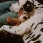 Brian Guthrie - @cruthlawrossi - Instagram