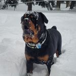 Brian Gutowski - @bg36012023 - Instagram