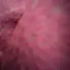 Brian Guyton - @brianton76 - TikTok