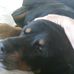 Brian Habig - Facebook