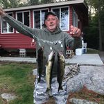 Brian Haggerty - @haggerty85 - Instagram