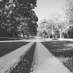 Brian Halford - @halford_photography - Instagram