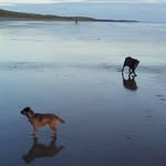Brian Halford - @brianhalford27 - Instagram