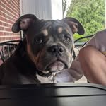Brian Hammans - @brian_hammans - Instagram