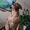 Bryan hand - @bryan.hand2 - TikTok