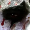 Brian Harbin - @brian.harbin - TikTok