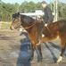Brian Hardee - Facebook
