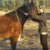 Brian Hardee - @southerntrucker - TikTok