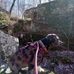 Brian Hargis - Facebook