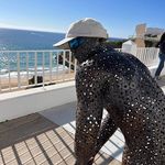 Brian Harkin - @brian.harkin.378 - Instagram
