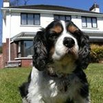 Brian Harkin - @harkin2085 - Instagram