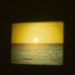 Brian Harkin - @brainharkin - Instagram