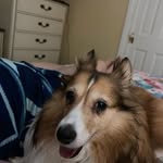 Brian Harnish - @harnishbrian - Instagram
