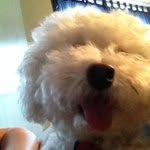 Brian Harnish - @brian__harnish - Instagram