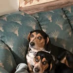 Brian Hass - Facebook