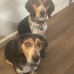 Brian Hass - @brianhass10 - Instagram