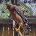 Brian Hatley - Facebook