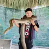 Brian_HN - @brianhau3 - TikTok