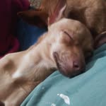Brian haynie Haynie - @brianhayniehaynie - Instagram